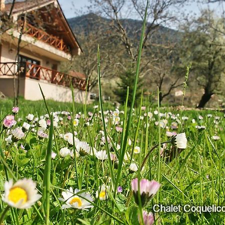 Chalet Coquelicot Kalavryta Exterior photo