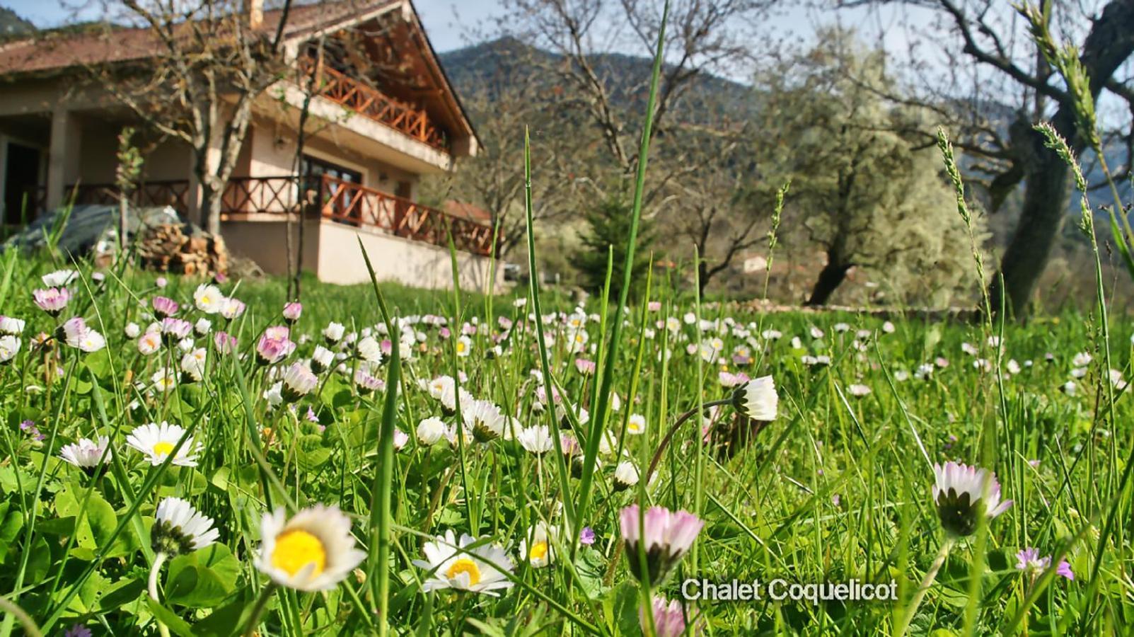 Chalet Coquelicot Kalavryta Exterior photo