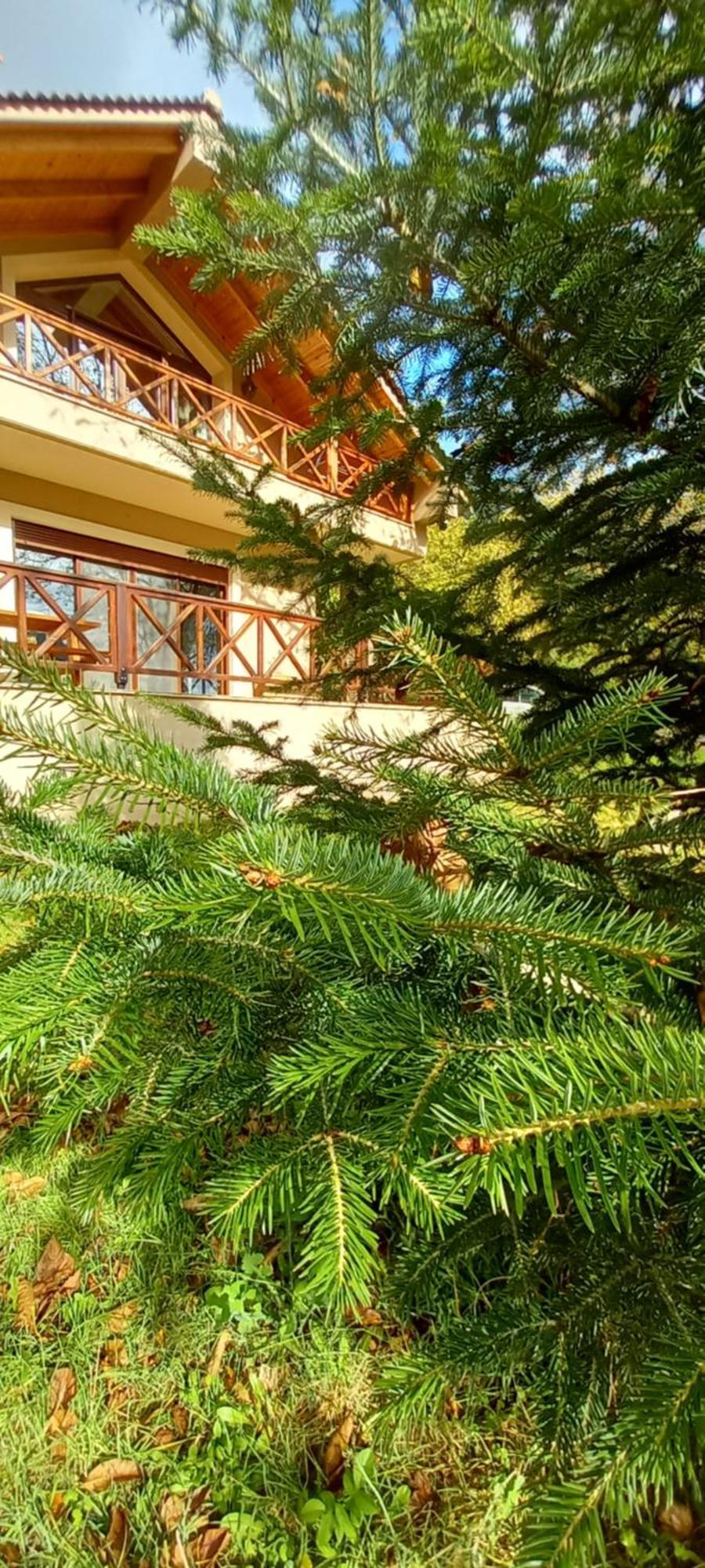 Chalet Coquelicot Kalavryta Exterior photo
